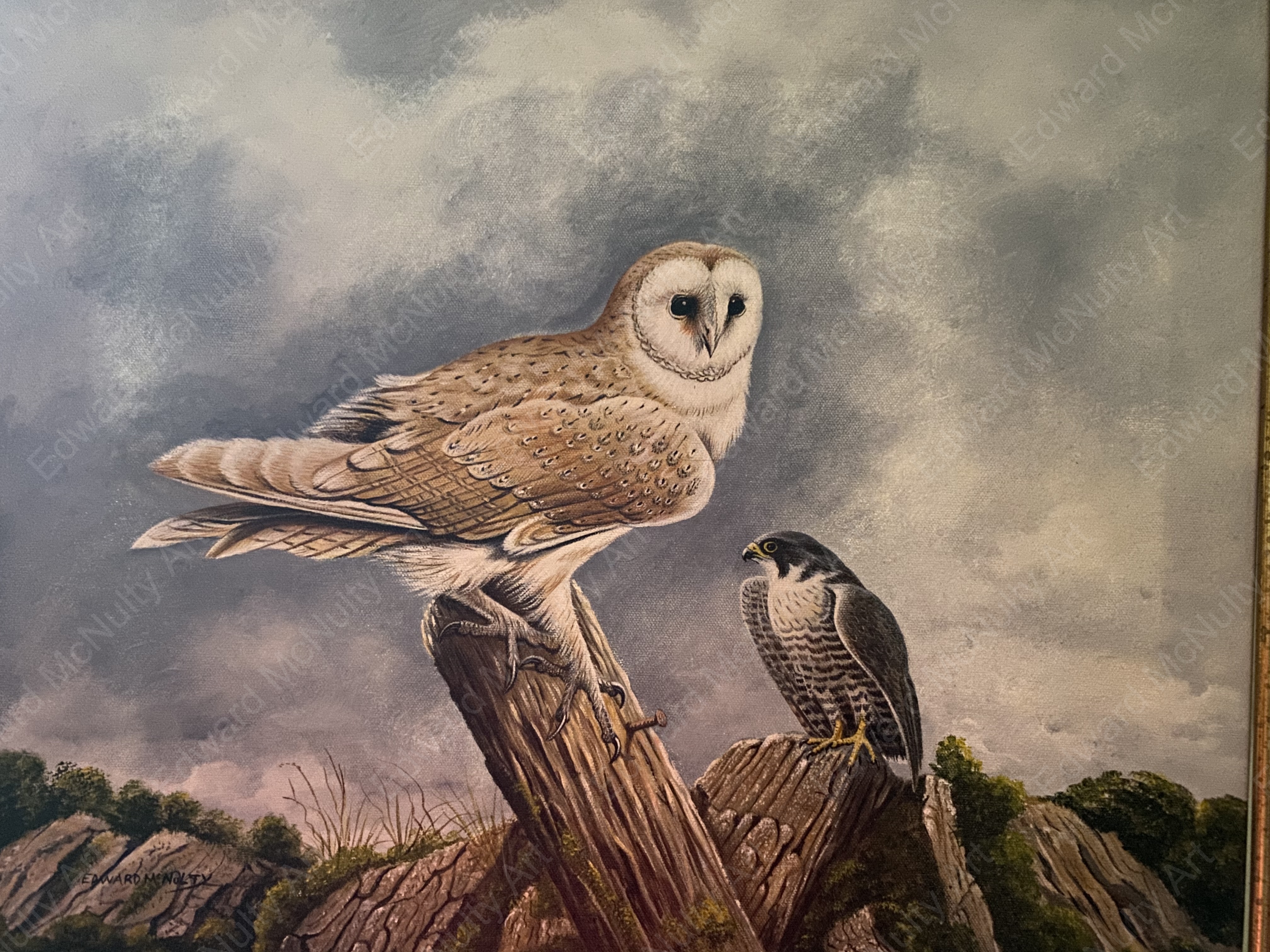 The Owl & the Falcon