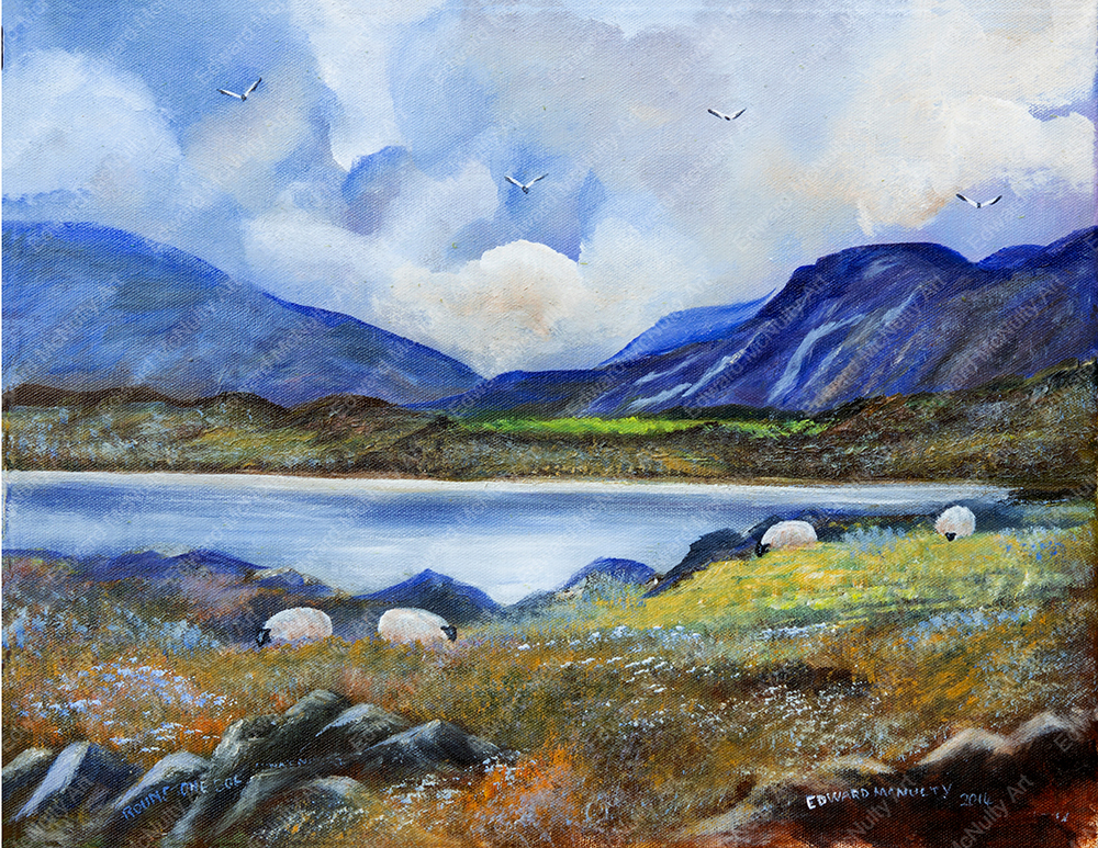Sheep in Roundstone Bog, Connemara, Co. Galway
